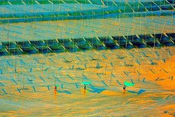 1-day Xiapu Photography Tour: East Route