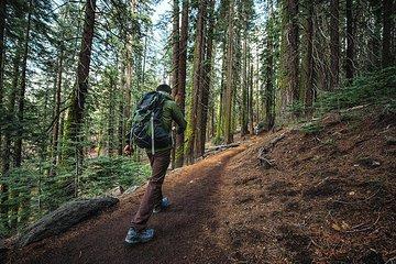 Darjeeling private Day hike