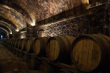 Emilia-Romagna's Typical products Tasting Small Group Tour