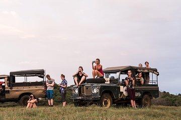 3-Day All Inclusive Luxury Mobile Camping in Wasgamuwa National Park