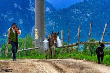Old villages in the Carpathian Mountains & Libearty Brown Bears Sanctuary