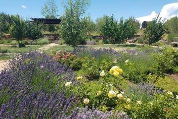 Santa Fe Botanical Garden General Admission Ticket