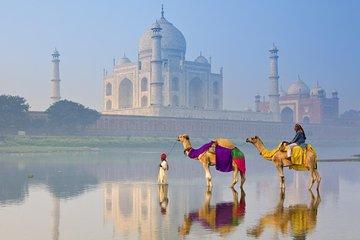 Triangulo de oro India 5 Dias