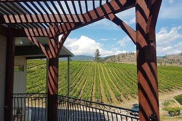 Okanagan Falls Private Wine Tour - Full Day