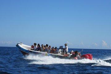 Okikoki Banis - Comino Blue Lagoon Speedboat Trip- Fast Ferry