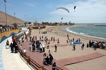 Arica: Half day Panoramic City Tour