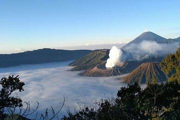 1 Day Open/ Private Trip Sunrise Bromo Tour Start Malang