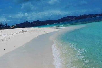 Antigua Stingray & Snorkel Adventure + Long Bay Beach
