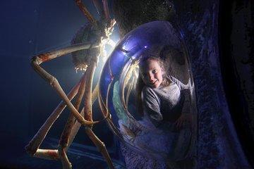 SEA LIFE Manchester Admission Ticket