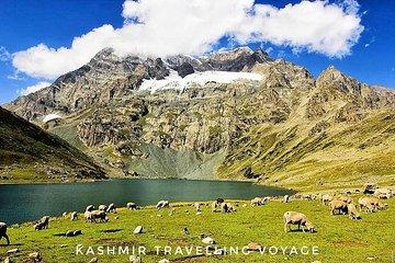 Kashmir Group Tour Packages : 4 Days 5 Nights