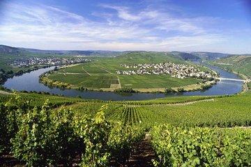 For the love of Riesling - Mosel Wine tour