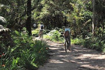 Bicycle rental in Horto Florestal - Campos do Jordão