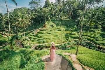 Private Ubud Highlight Full Day Tour with English Speaking Driver