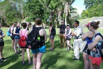 Paradise Expeditions