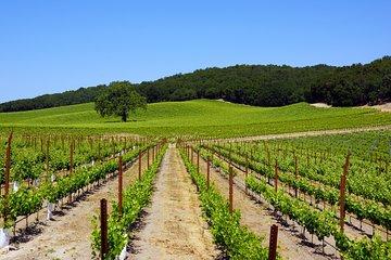 Paso Robles Wine Adventure with pickup from Paso Robles, CA
