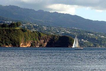 Amazing attractions of Tahiti charming island – Private half day circle tour