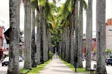 Blumenau City Tour from Florianópolis
