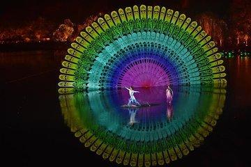 Night Tour with Impression West Lake Show VIP Ticket and Hefang Heritage Street