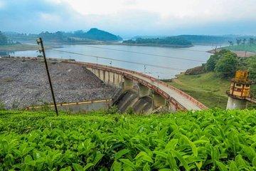 Private Custom Tour: Munnar local Sightseeing with guide