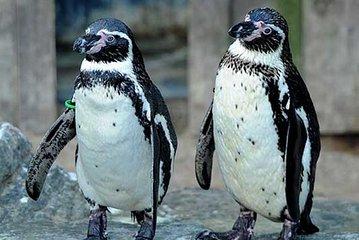 SEA LIFE Great Yarmouth General Admission