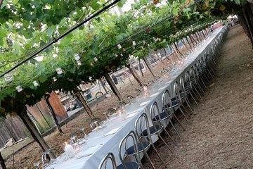 La Pergola in festa - Dinner in the vineyard