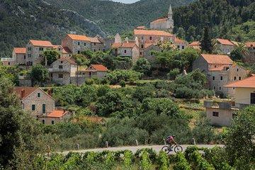 Wine Tasting Tour