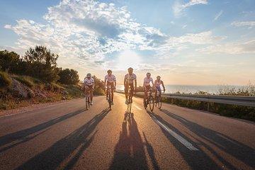 Pure Cycling Experience - Road Bike