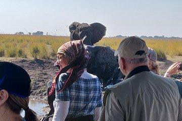 Chobe Day Trip From Livingstone