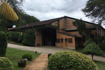 Private Tour Cave Geisse + 2 Wineries from Pinto Bandeira RS