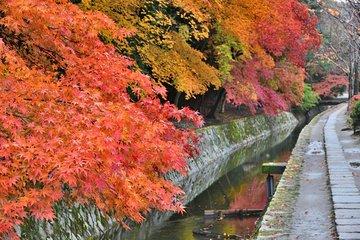7 Highlights of Kyoto in Autumn