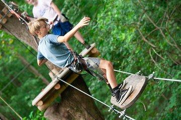 Morning Aerial Adventure Adult Course from Riegelwood