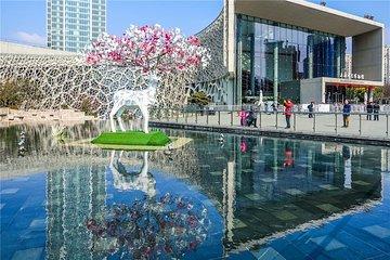Muslim Private Day Tour: Shanghai Natural History Museum,Tank Shanghai teamLab