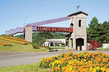 Private Tour of Luiz Argenta and 2 other Flores Cunha wineries