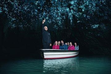 Waitomo GlowWorm cave & Sanctuary Mountain Ancient Walk Tour