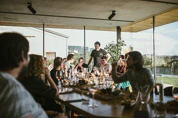 Wine Tasting with Pairing Snacks in Vipava Valley