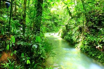 Customized Suva day tour