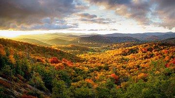 Private Waterfall and Blue Ridge Parkway Tour with a Naturalist