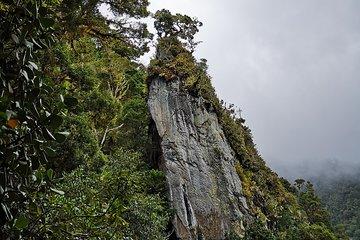 Los Quetzales Trail