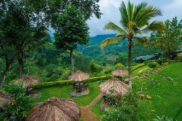 All inclusive - Village Trekking Tour at Ramboda With Authentic Village Lunch