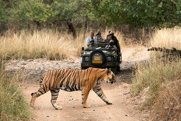 All Inclusive : 5 Days Golden Triangle with Ranthambore Safari
