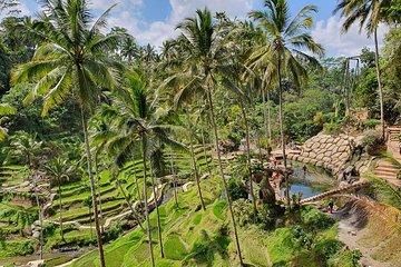 All Inclusive Ubud Experience