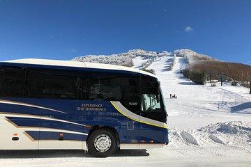 Naeba Express Bus - From/To Narita Airport and Tokyo Station