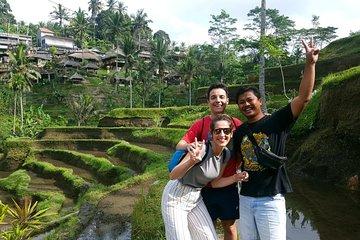 The scenery of the swamp is intertwined with the cultural life of Bali
