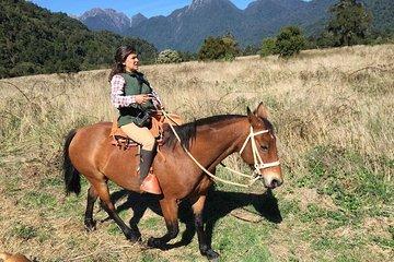Esperanza Valley Horse ride.