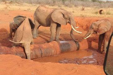 Five days safari Big 5