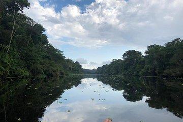 Pacaya Samiria Mystical 3 Days