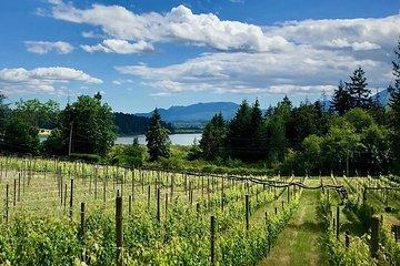 Cowichan Valley Premium Wine Tour