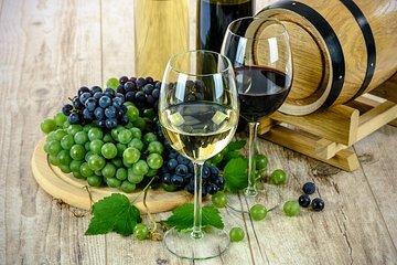 Tasting at Valle de Uco, Mendoza, Wineries with Private Sedan