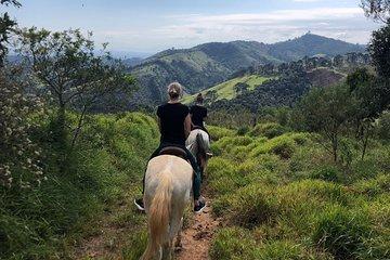 Exclusive Horse Experience with Pic-nic at Belvedere