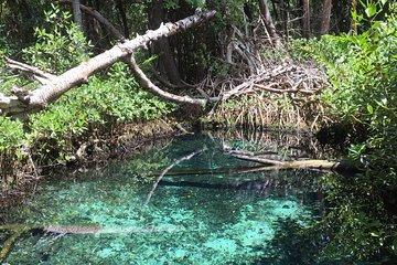 Petenes biosphere tour